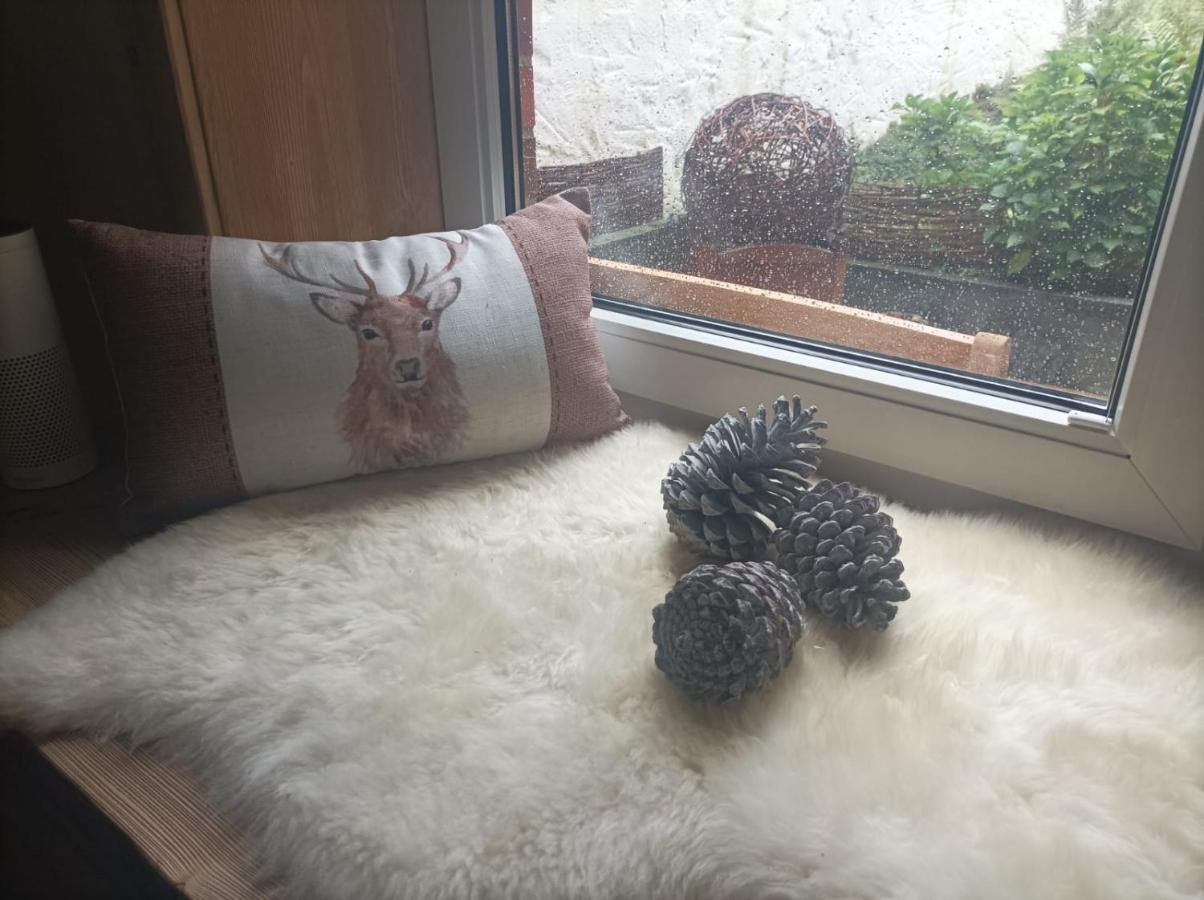 Harzglanz Fewo's Kuschelbude Apartament